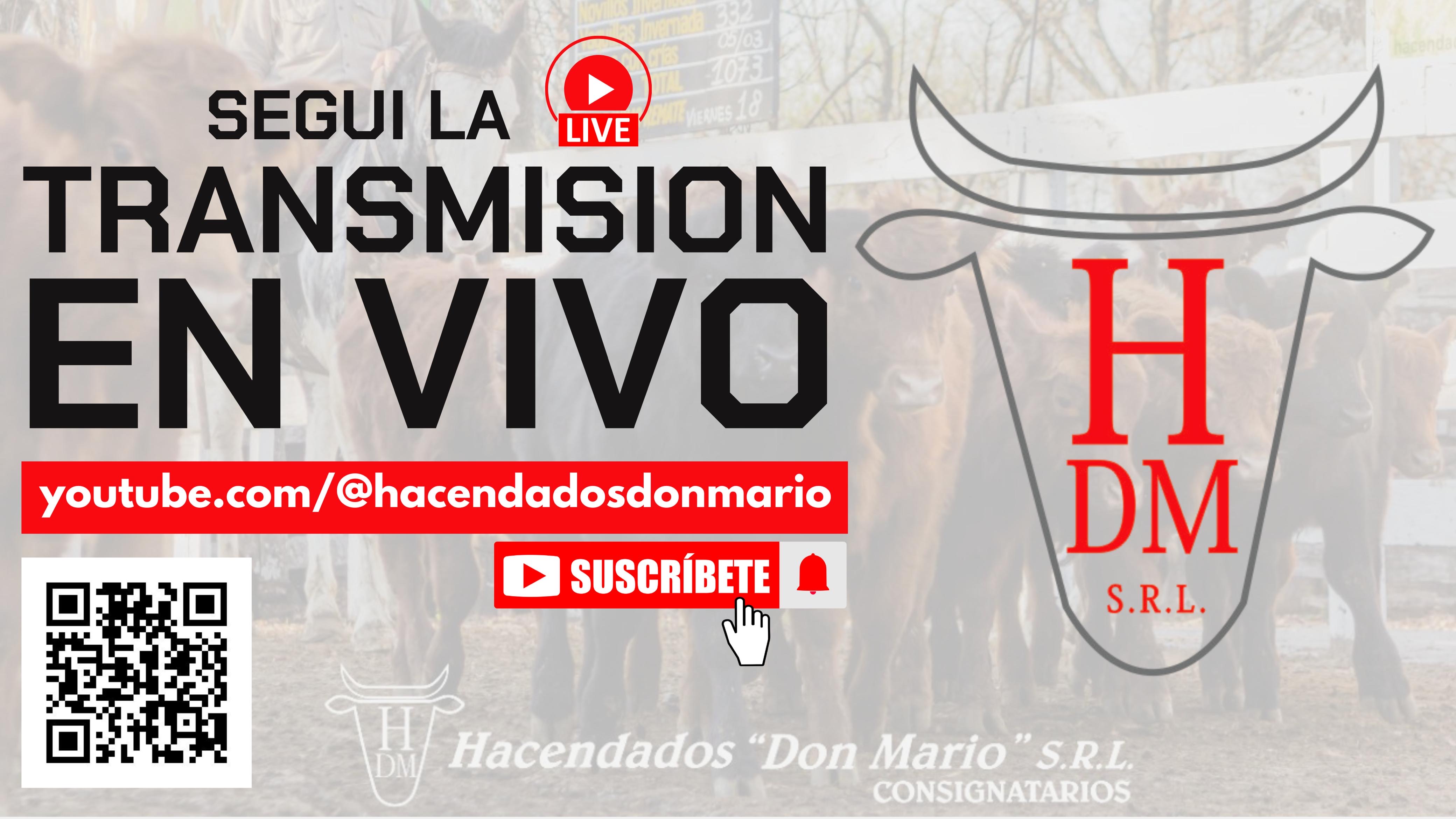 https://www.youtube.com/@hacendadosdonmario
